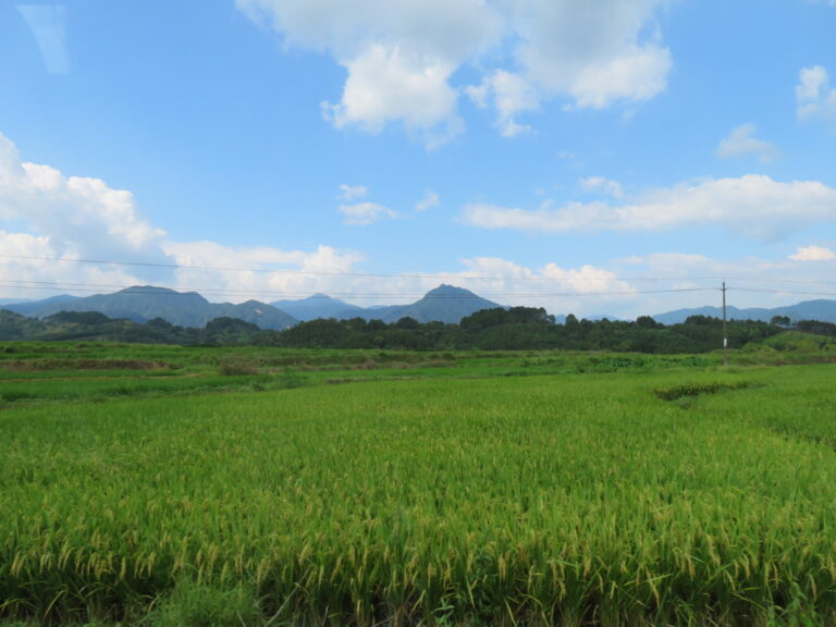 丰阳自然风光